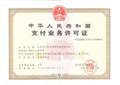 網銀在線（北京）科技有限公司支付牌照